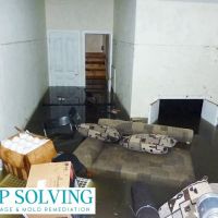 Damp Solving Water & Mold ico