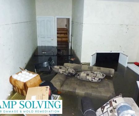 Damp Solving Water & Mold
