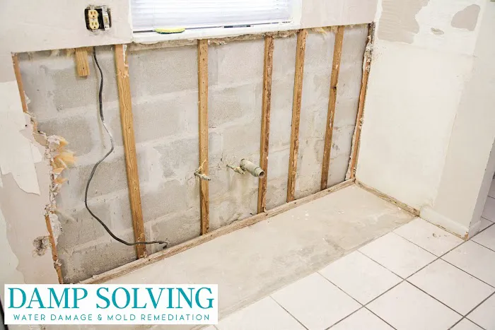 Damp Solving Water & Mold Picture 7