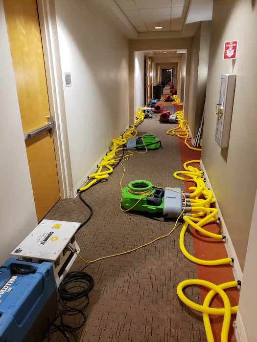 All American, Inc. Picture 8