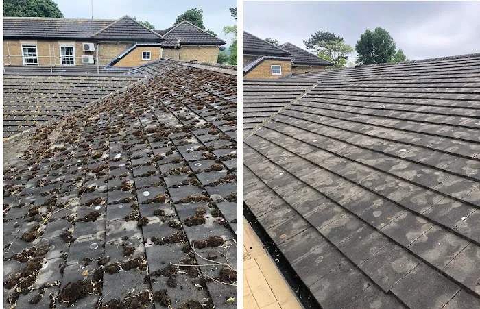 Philip White Painting LLC Picture 3