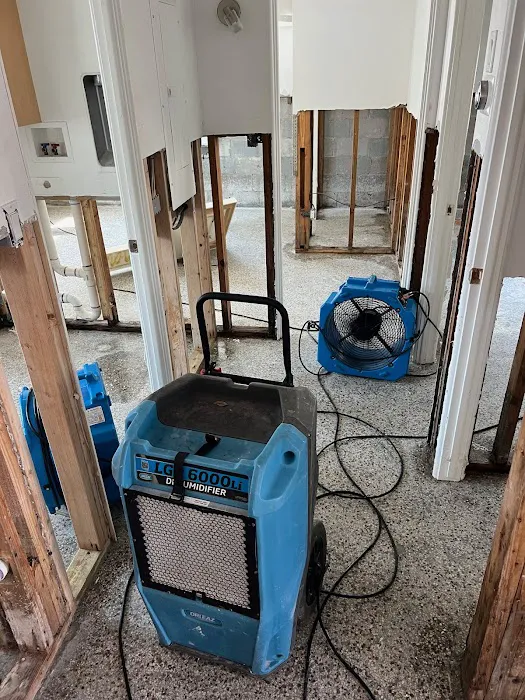 Elements Disaster Recovery Picture 1