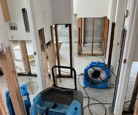 Elements Disaster Recovery