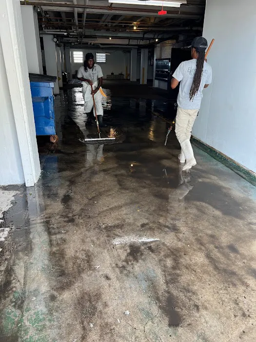 Elements Disaster Recovery Picture 3