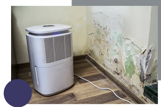 CleanBuilding, Inc. Picture 7