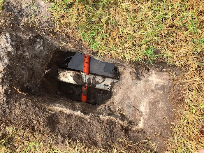 Steamatic of Central Florida Picture 5