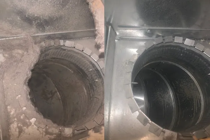 Steamatic of Central Florida Picture 6