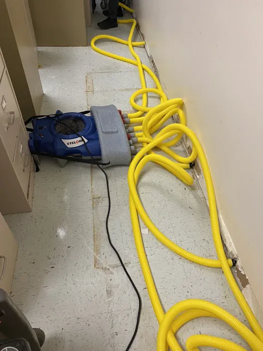 Optimus Restoration Management Picture 2