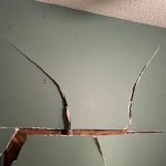 Optimus Restoration Management