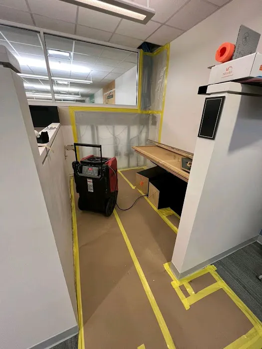 Optimus Restoration Management Picture 5