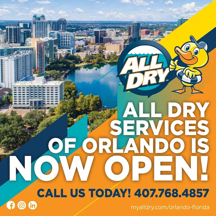 All Dry Services of Orlando Picture 4