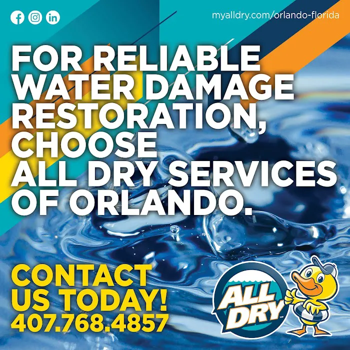 All Dry Services of Orlando Picture 6