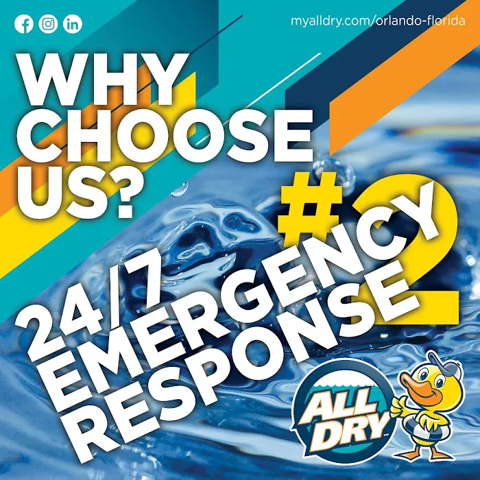 All Dry Services of Orlando Picture 5