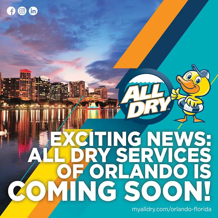 All Dry Services of Orlando Picture 3