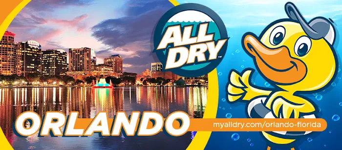 All Dry Services of Orlando Picture 1