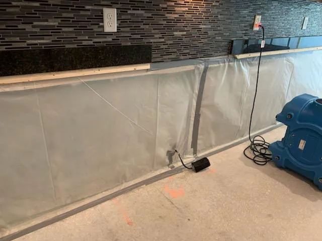 Hamilton Restoration of Central Florida Picture 1