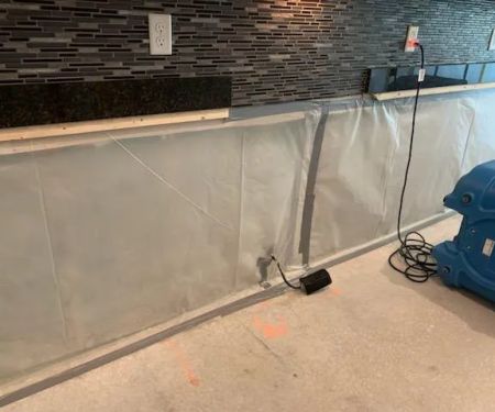 Hamilton Restoration of Central Florida