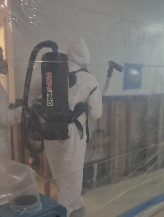 Eco Prime Restoration Picture 2