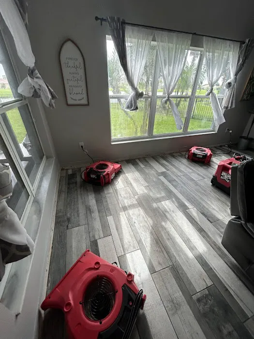 PuroClean of Winter Garden Picture 4