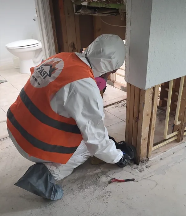 FAST Restoration Picture 7