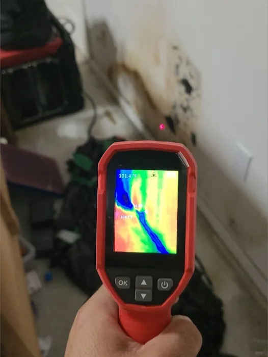 FAST Restoration Picture 2