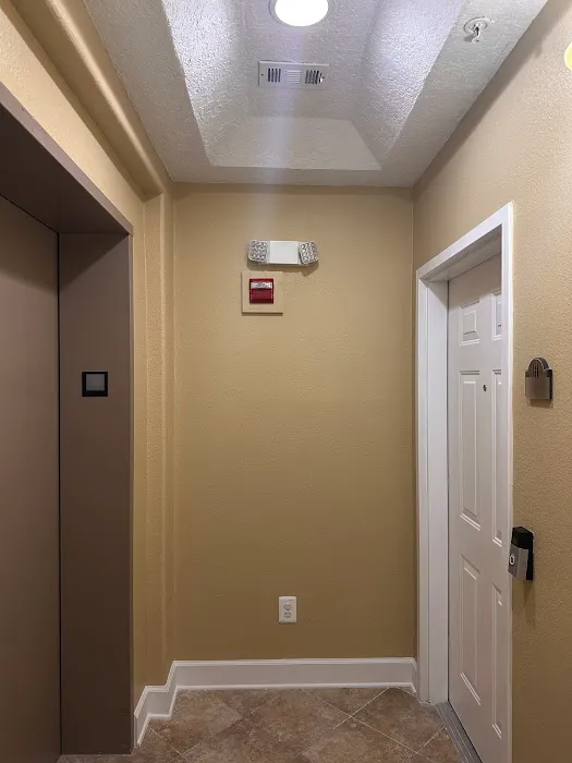 FAST Restoration Picture 8