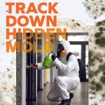 SERVPRO of Lake County