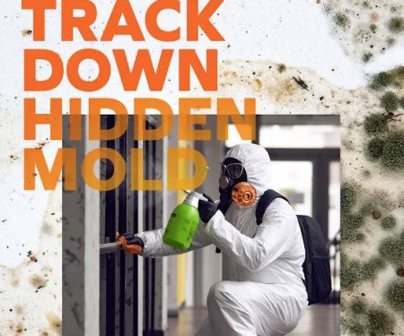 SERVPRO of Lake County