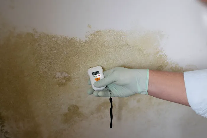 PuroClean of Ormond Beach Picture 2