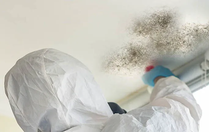 PuroClean of Ormond Beach Picture 1