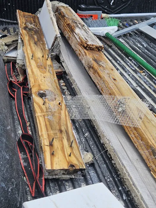 Ahold of Mold Environmental Picture 8