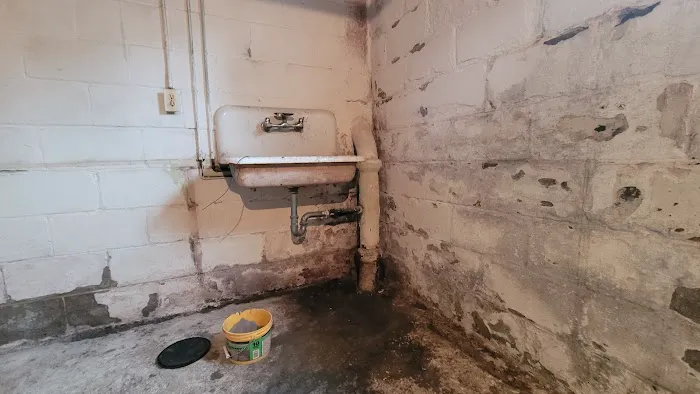 Ahold of Mold Environmental Picture 1