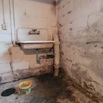 Ahold of Mold Environmental