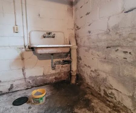 Ahold of Mold Environmental