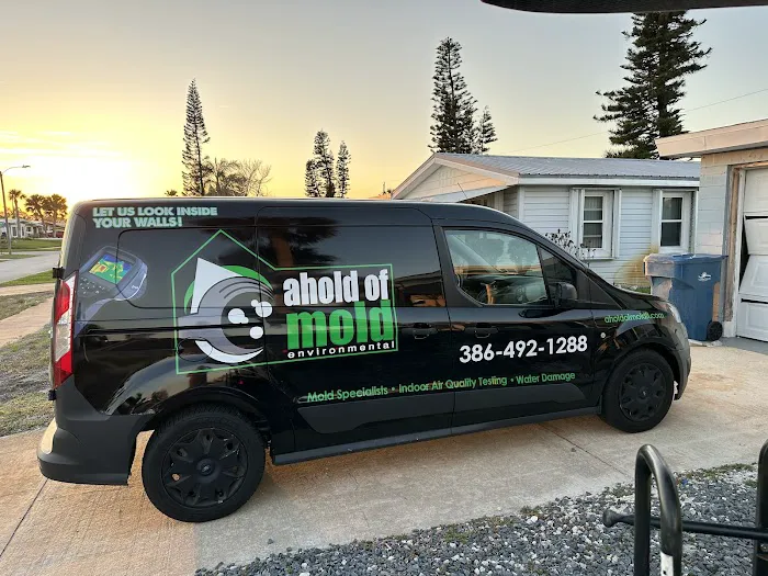 Ahold of Mold Environmental Picture 10