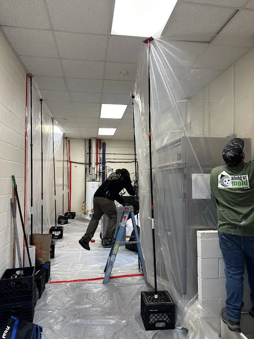 Ahold of Mold Environmental Picture 9