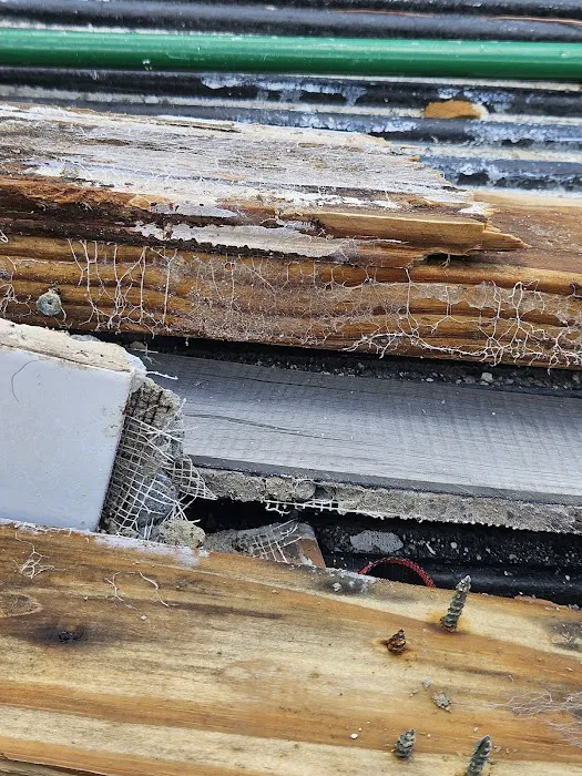 Ahold of Mold Environmental Picture 6