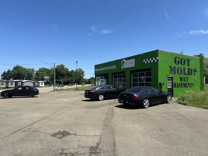 Ahold of Mold Environmental Picture 5