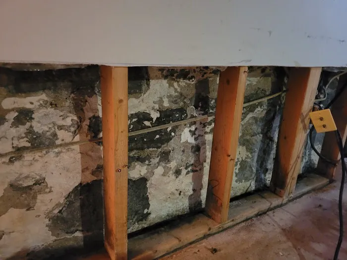 Ahold of Mold Environmental Picture 2