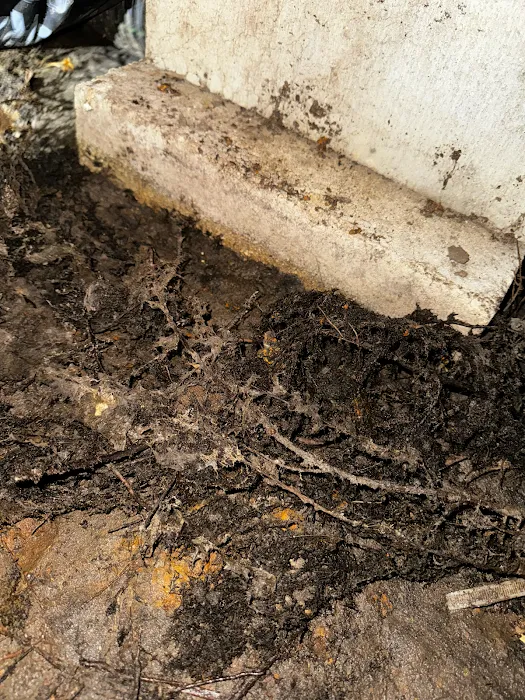 Pure Maintenance Mold Remediation Picture 3