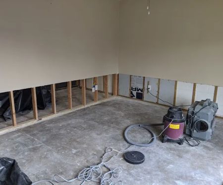 Pure Maintenance Mold Remediation