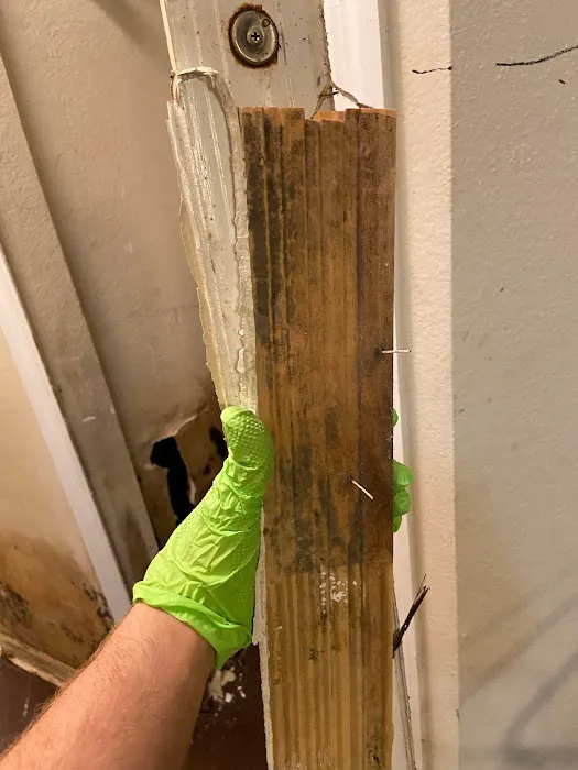 Pure Maintenance Mold Remediation Picture 6