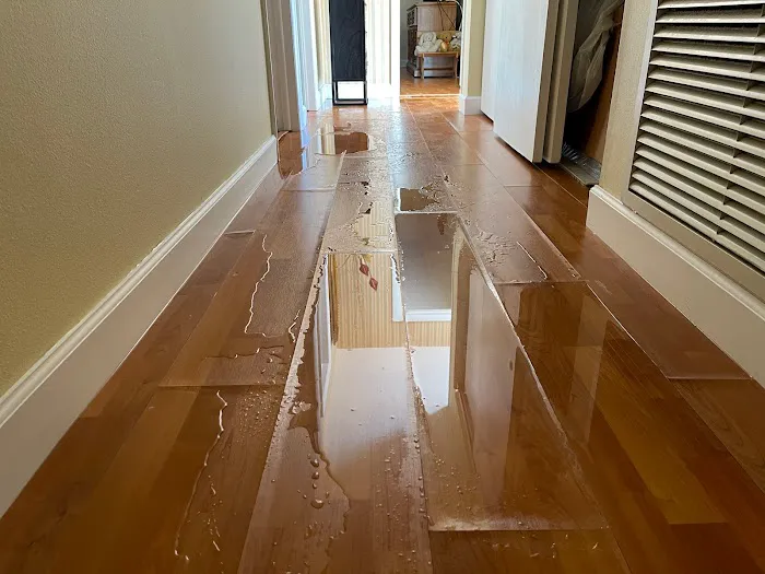 SERVPRO of North Daytona Beach / Ormond Beach Picture 6