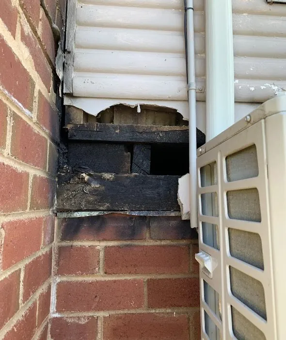 Pro Water Damage Restoration Orlando Picture 6