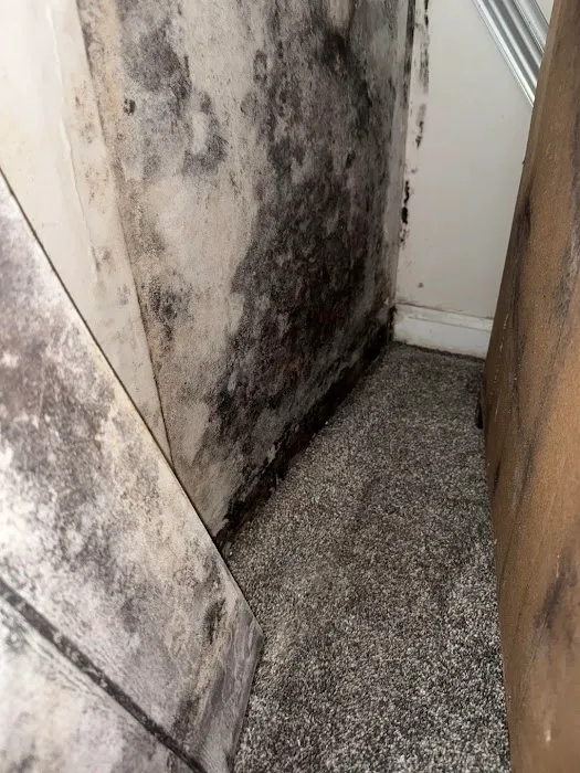 Pro Water Damage Restoration Orlando Picture 5