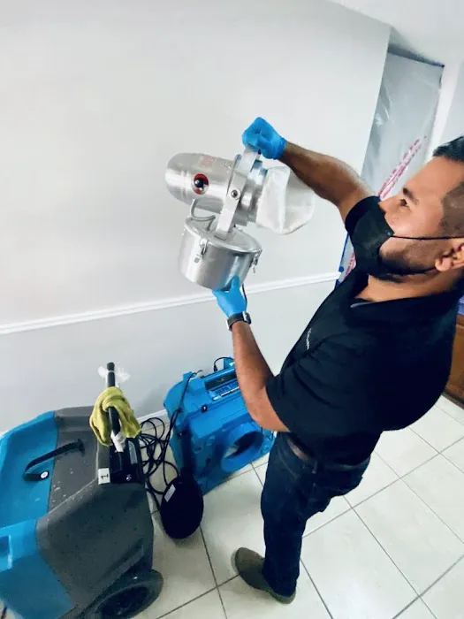 Going Green Restoration Picture 1