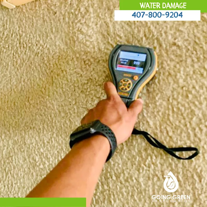 Going Green Restoration Picture 5