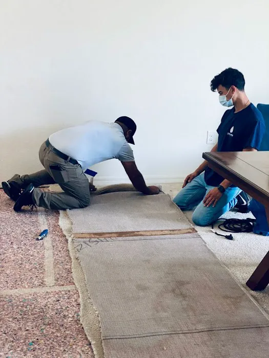 Going Green Restoration Picture 3