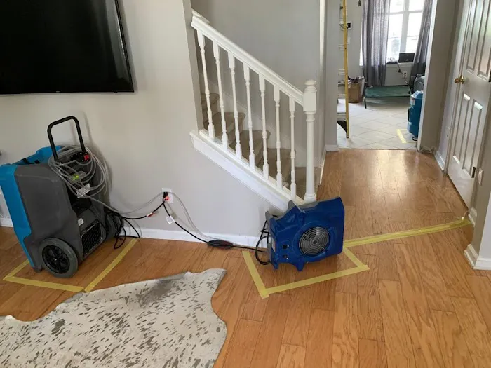 Going Green Restoration Picture 8