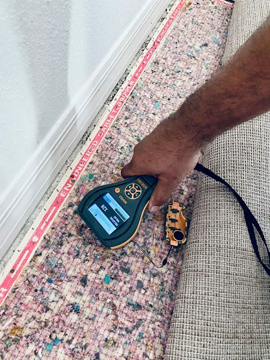 Going Green Restoration Picture 6